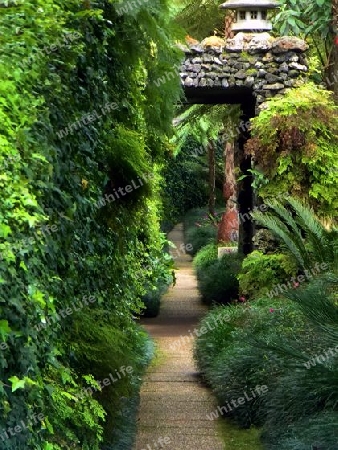 enchanted garden
