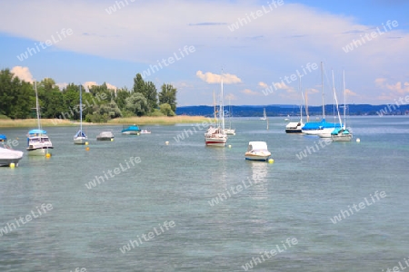 Bodensee mit Segelschiffen und Landschaft im Hintergrund