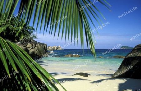 Ein Traumstrand auf der Insel La Digue der Inselgruppe Seychellen im Indischen Ozean in Afrika.