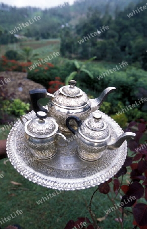 Asien, Indischer Ozean, Sri Lanka,
Ein Tee Krug im einem Hotel im Tee Anbaugebiet von Nuwara Eliya in Zentralen Gebierge von Sri Lanka. (URS FLUEELER)






