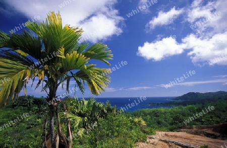 Die Landschaft auf der Insel Mahe auf den Seychellen im Indischen Ozean.