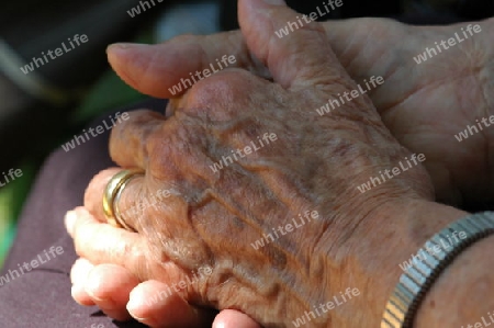 alte Frauenh?nde | old female hands