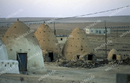 Die traditionellen Lehmhaeuser in den Bauerndoerfer wie Sarouj bei Hama in Zentralsyrien in Syrien im Mittleren Osten in Arabien.