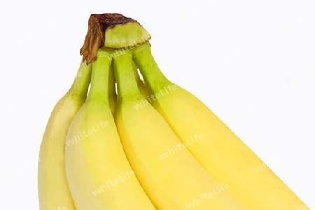 Frische Bananen auf hellem Hintergrund