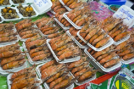 Seafood at a streetmarket at the charoen Krung road at the Riverside Aerea in the city of Bangkok in Thailand in Southeastasia.