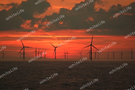 Ostsee Windpark im Sonnenuntergang