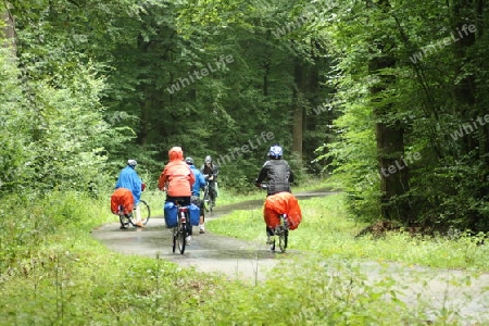 Regenradler  Rain cyclists