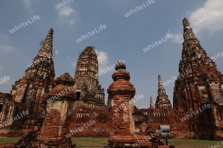 Der Wat Chai Wattanaram Tempel in der Tempelstadt Ayutthaya noerdlich von Bangkok in Thailand