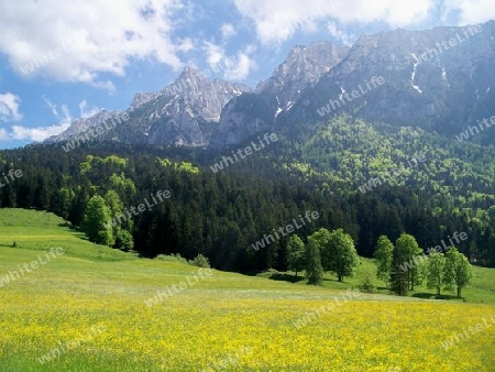 Kaisergebirge Tirol