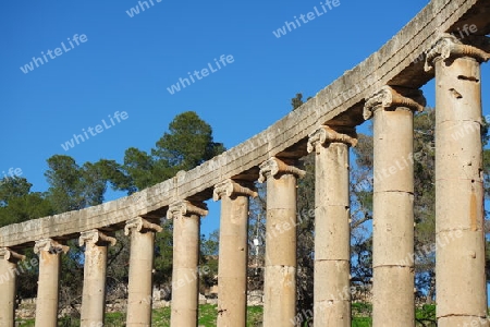 Forum Säulen in Gerasa, Jerash. Jordanien