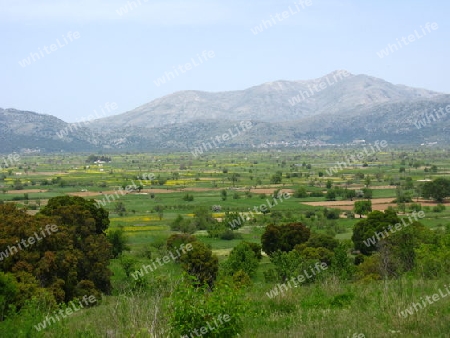Lassithi  Plateau