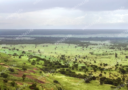 aerial scenery in the Queen Elizabeth National Park in Uganda (Africa)