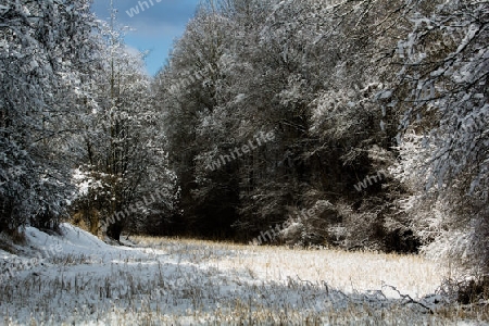 Winterliche Landschaft bin der Innau bei Alzgern
