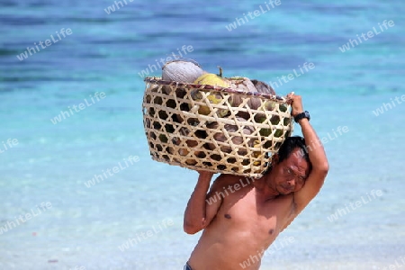 Ein Mann mit Kokosnuessen am Strand auf der Insel Nusa Lembongan der Nachbarinsel von Bali, Indonesien.