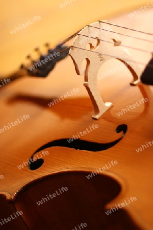 Cello Details