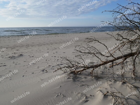 Einsamer Strand. Nationalpark Wolin