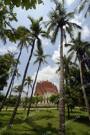 Der Tempel Wat Pak Saeng bei Lakhon Pheng am Mekong River in der Provinz Amnat Charoen nordwestlich von Ubon Ratchathani im nordosten von Thailand in Suedostasien.