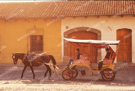 transport in the old town in the city of Antigua in Guatemala in central America.   