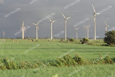 Windenergiepark