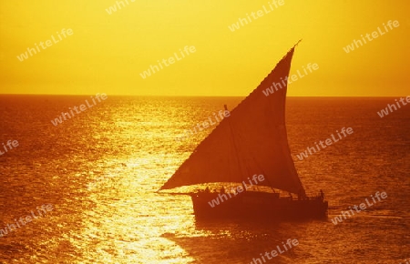 Ein Segelschiff faehrt bei Sonnenuntergang an der Altstadt in Stone Town vorbei, dies in der Hauptstadt Zanzibar Town auf der Insel Zanzibar welche zu Tansania gehoert.         