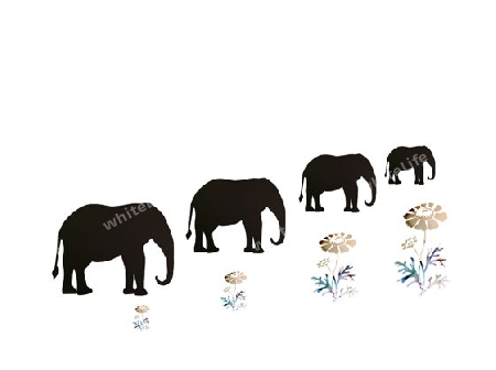 Elefanten                                           