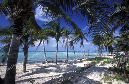 The Beach of Cancun in the Province Yucatan in the south of Mexico 