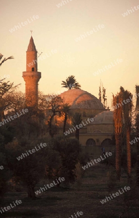 Die Moschee Chala Sultan Tekke am Salzsee in Larnaka im sueden von Zypern im Mittelmeer. 