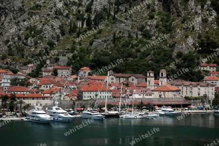 Die Stadt Kotor in der Kotorbucht an der Mittelmeer Kueste in Montenegro im Balkan in Osteuropa.