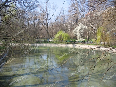 Cismigiu Park