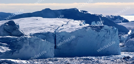 Eisberge am Kangia Eisfjord
