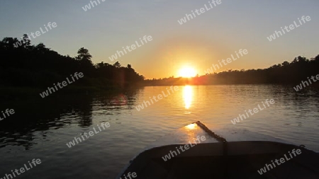 Sonnenuntergang auf dem Kinabatangan River in Sukau, Borneo