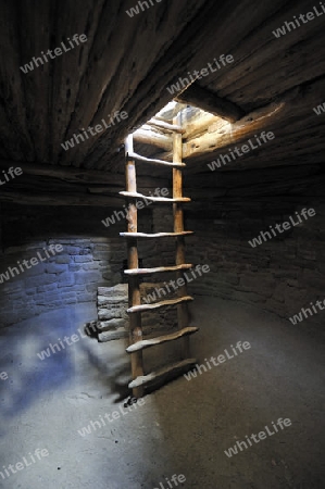 Leiter in einem unterirdischen Raum, Kiwa,  im "Spruce Tree House" der indianischen Ureinwohner, ca. 800 Jahre alt, Mesa Verda NP, UNESCO Weltkulturerbe, Colorado, USA