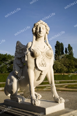 Vienna - Belvedere palace - sphinx