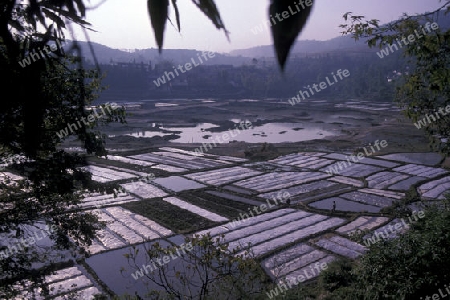 the agraculture near the town of dali in the province of Yunnan in china in east asia. 