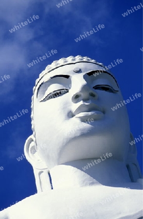 Asien, Indischer Ozean, Sri Lanka,Die Grosse Buddha Statue von Kandy im Zentralen Gebierge von Sri Lanka. (URS FLUEELER)