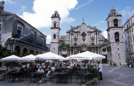 the Plaza de la Catedral in the old town of the city Havana on Cuba in the caribbean sea.