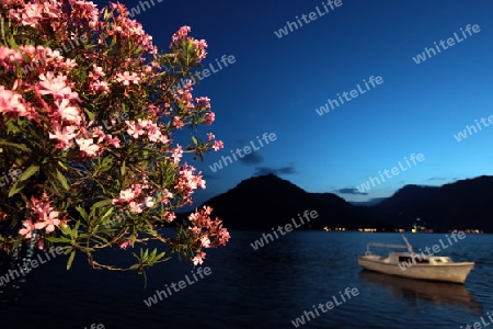 Ein Abend an der Promenade von Persat in der inneren Bucht von Kotor in Montenegro im Balkan am Mittelmeer in Europa.