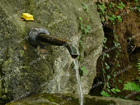 Brunnen, Quelle im Wald P1260851