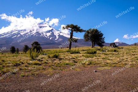 Panorama am Vulkan
