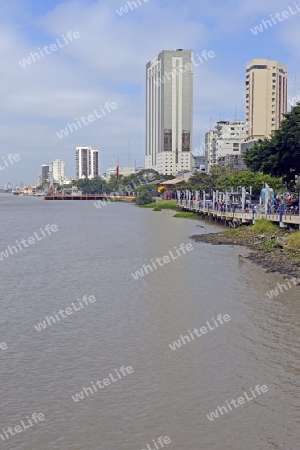 Blick auf die Uferpromende des Park Malecon am Ufer des Flusses Rio Guayas,  Guayaquil, Ecuador, Suedamerika