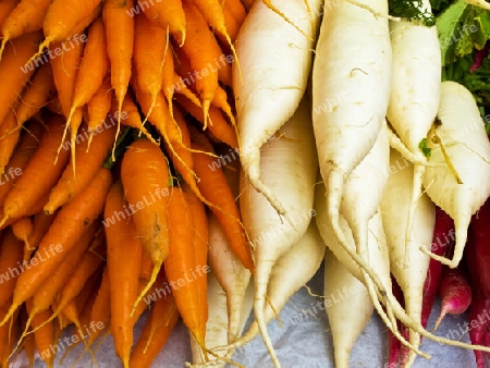 Karotten und Rettich