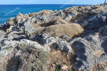 Felsenküste auf Kreta