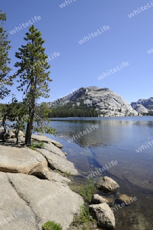 Morgenstimmung am Tenaya Lake im Yosemite Nationalpark, Kalifornien, USA