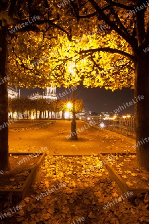 Herbstliche Nachtaufnahme