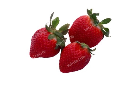 Erdbeere 