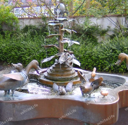 Brunnen mit Enten