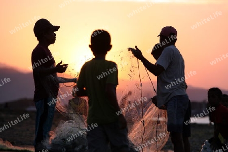 Asien, Suedostasien, Ost Timor, Timor-Leste, Timor, Dili, Alltag, Fischer, 
Fischer an der Kueste in der Hauptstadt Dili in Ost Timor in Suedost Asien.       (Urs Flueeler) 