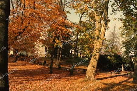 Kurpark im Herbst