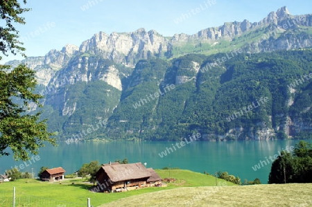 Der Walensee im Kanton Graub?nden