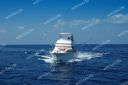 Sport Fishing Boat ready for game fishing